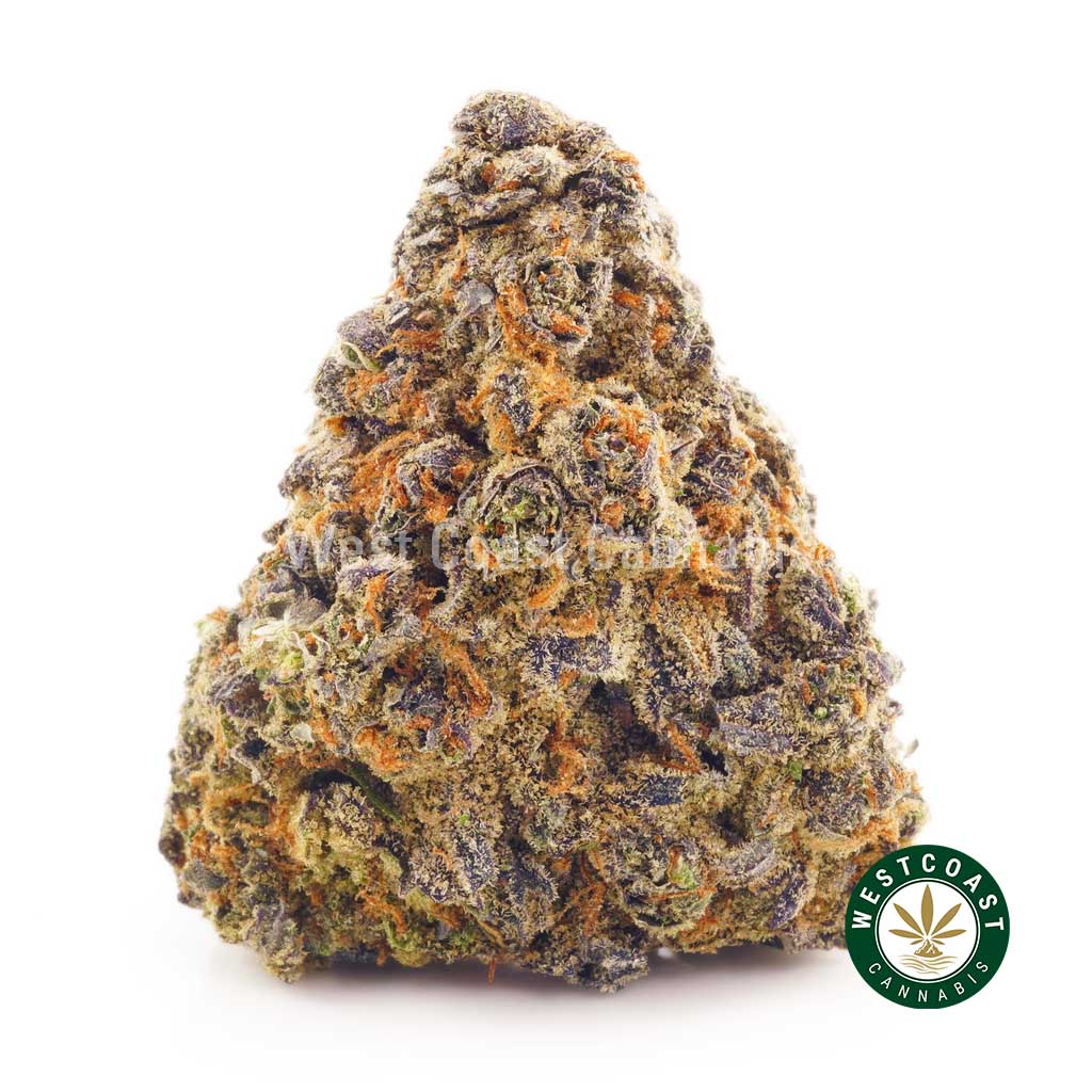 Buy Cannabis Pineapple Express at Wccannabis Online Shop