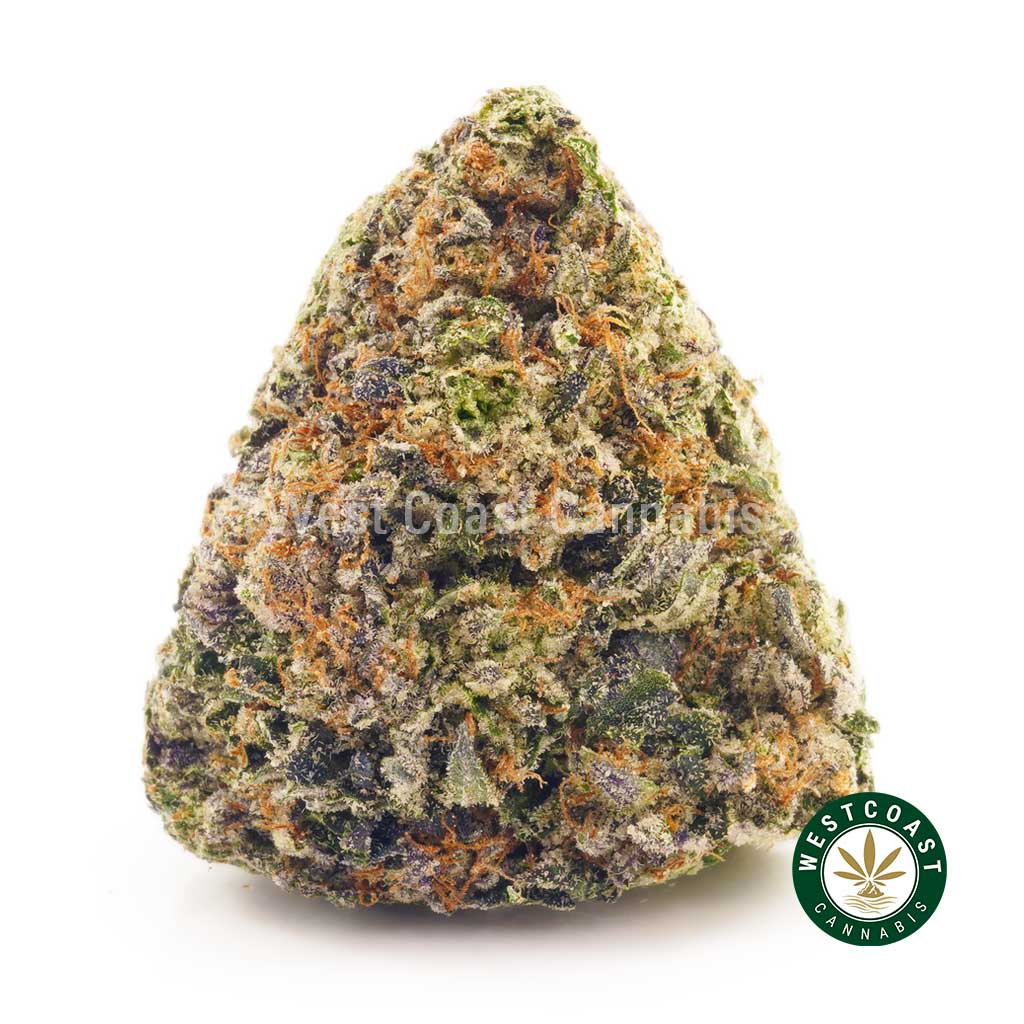 Buy ultra death bubba strain weed online in Canada. budgetbuds. canada weed. sativa strains. weed canada.