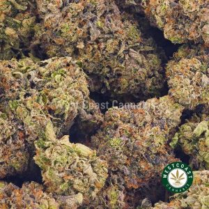 order weed online ultra death bubba strain from BC cannabis mail order weed shop west coast cannabis.