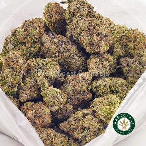 Buy weed ultra death bubba strain cheap ounces online. Mail order weed online dispensary. budget buds. moon rock weed. weed delivery canada. indica strains.