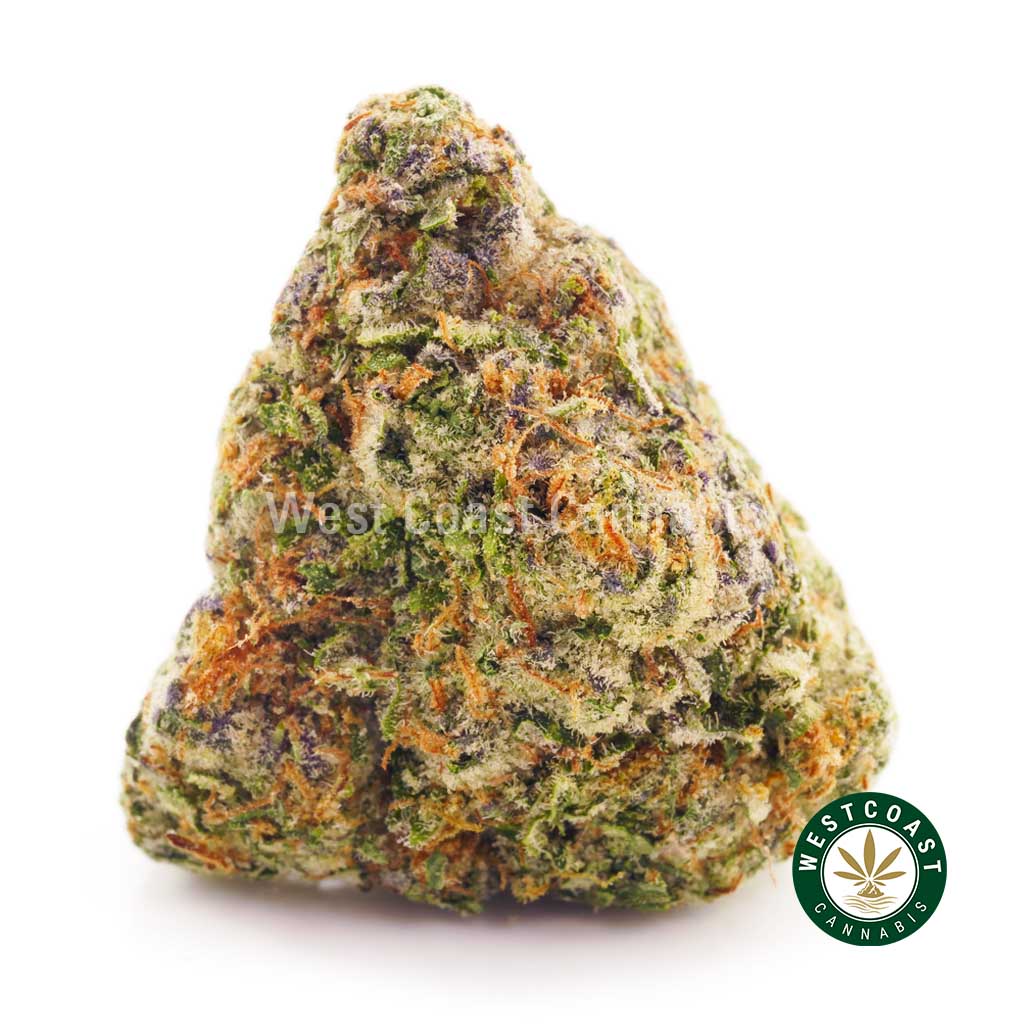 close up photo of London Pound Cake weed for sale at canada's best online dispensary wccannabis.co. buy weed online canada. girl scout cookie marijuana for sale. buy shatter online in canada. online marijuana dispensary.