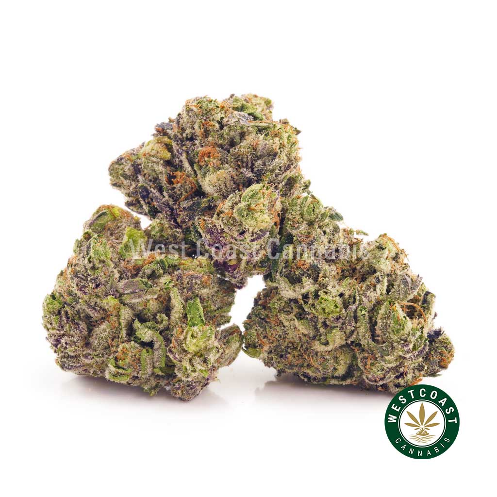 product photo of black mamba weed strain to buy online. where to buy weed online. popcorn weed, sativa strains, edibles online, and girl scout cookies cannabis for sale online canada.