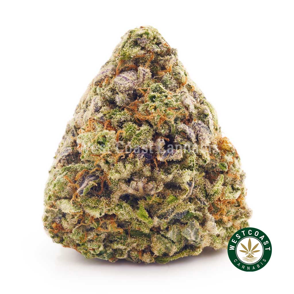 photo of key lime pie strain weed for sale. dispensary. buy online weeds. budgetbuds.