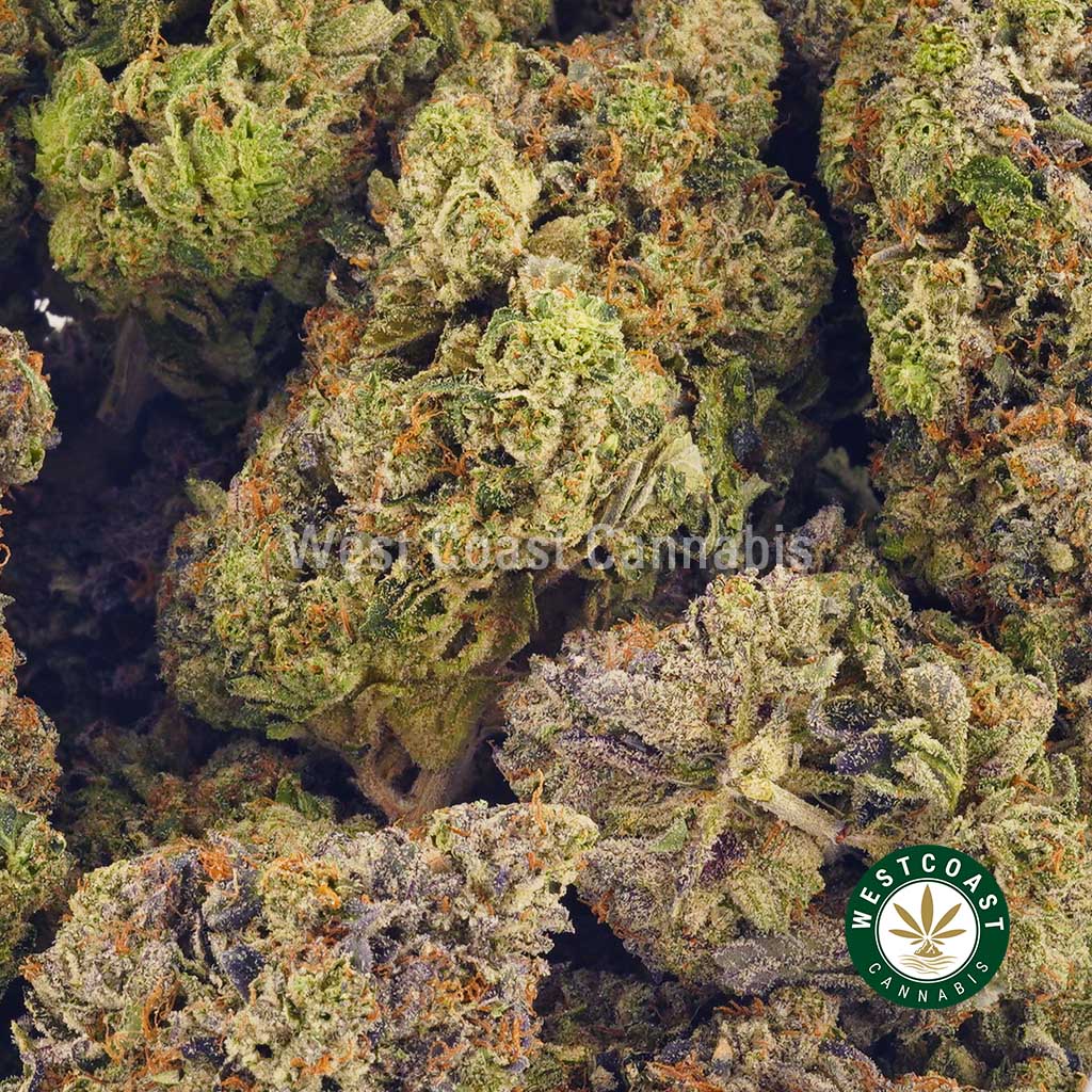Alleviate epilepsy and seizures with Ice Cream Cake weed feminized strain seeds