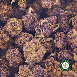 Buy weed Huckle Berry AAAA (Popcorn Nugs) at wccannabis weed dispensary & online pot shop