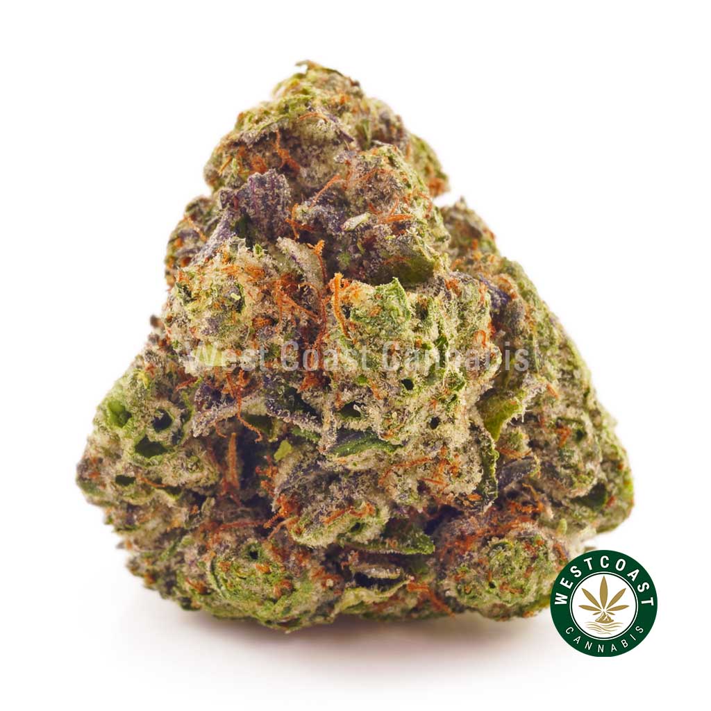 Gorilla Glue #4 budget buds at top mail order marijuana online dispensary West Coast Cannabis. buy weed concentrates online. mail order weed. htfse. thc e juice.