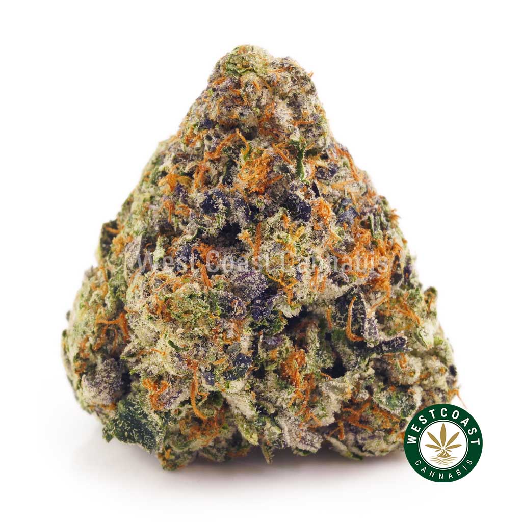 product photo of blueberry vintage cannabis strain. Top website in Canada for buying marijuana online. Shop our online weed dispensary. super silver haze strain for sale, buy black cherry soda strain.