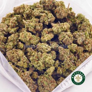 Buy weed Super Bud AA at wccannabis weed dispensary & online pot shop