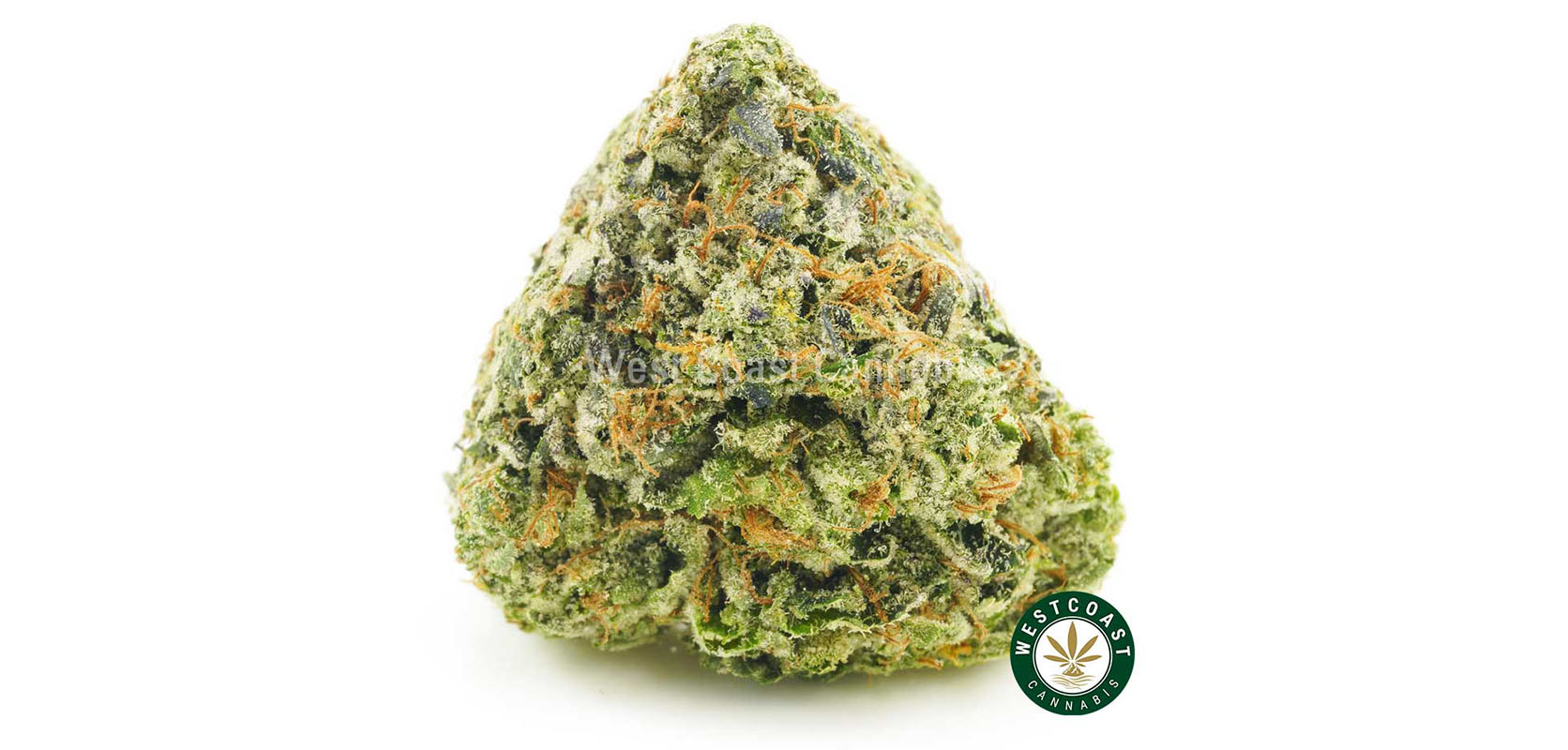 Buy blueberry rockstar weed strain online at the canadian online dispensary mail order marijuana.