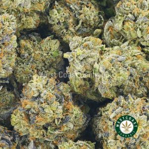 Buy Cannabis Black Rose at Wccannabis Online Shop