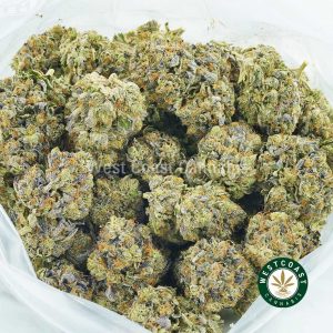 Buy Cannabis Black Rose at Wccannabis Online Shop