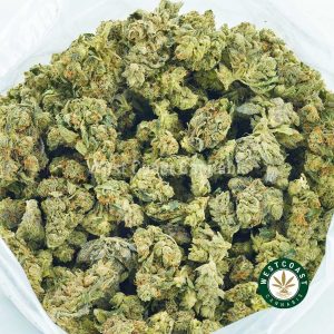 Buy Cannabis Rockstar Kush at Wccannabis Online Shop