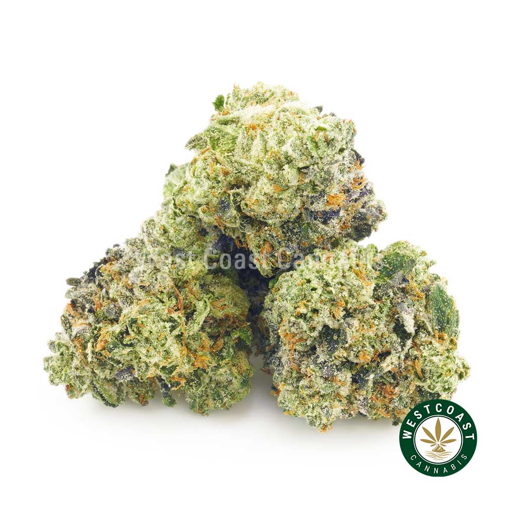 Buy Cannabis El Jefe Popcorn at Wccannabis Online Shop