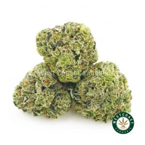 Buy Cannabis Fruity Pebbles Popcorn at Wccannabis Online Shop