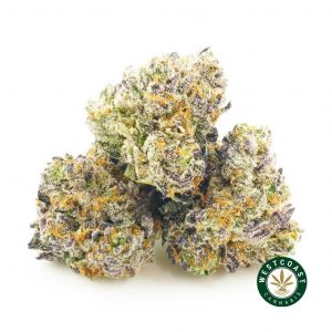 Buy Cannabis Purple Ice Wreck Popcorn at Wccannabis Online Shop