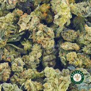 Buy Cannabis Cali Kush at Wccannabis Online Shop