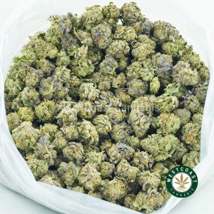 Buy Cannabis Couch Lock Popcorn at Wccannabis Online Shop