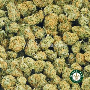 Buy Cannabis King Louis Popcorn at Wccannabis Online Shop