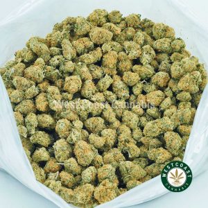 Buy Cannabis King Louis Popcorn at Wccannabis Online Shop