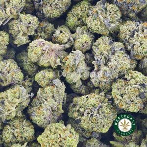 Buy Cannabis Chemo Kush Popcorn at Wccannabis Online Shop