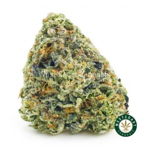 Buy Cannabis GMO Cookies at Wccannabis Online Shop