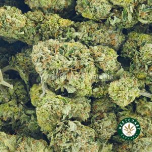 Buy Cannabis Blue Dream at Wccannbis Online Shop