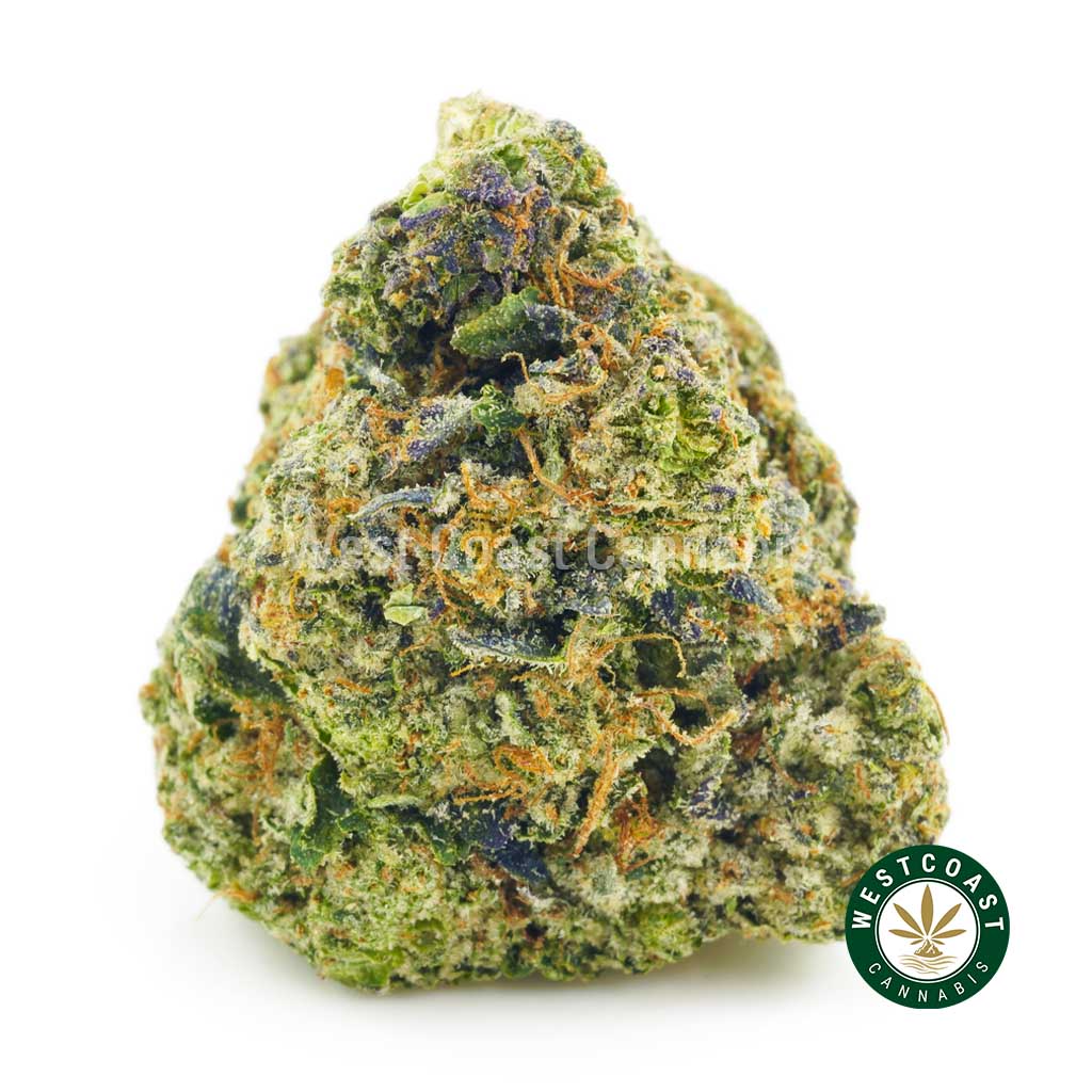 Image of Jet Fuel strain weed bud at online dispensary west coast cannabis. buy weeds online. mail order weed canada. weed online.