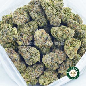Bag of Jet Fuel strain weed for sale. cannabis popcorn. buying weed online. order weed canada. weed shop online.