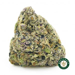 Purple Bruce Banner bud from west coast cannabis online dispensary canada. weed online canada. order cannabis online. buy weed online.