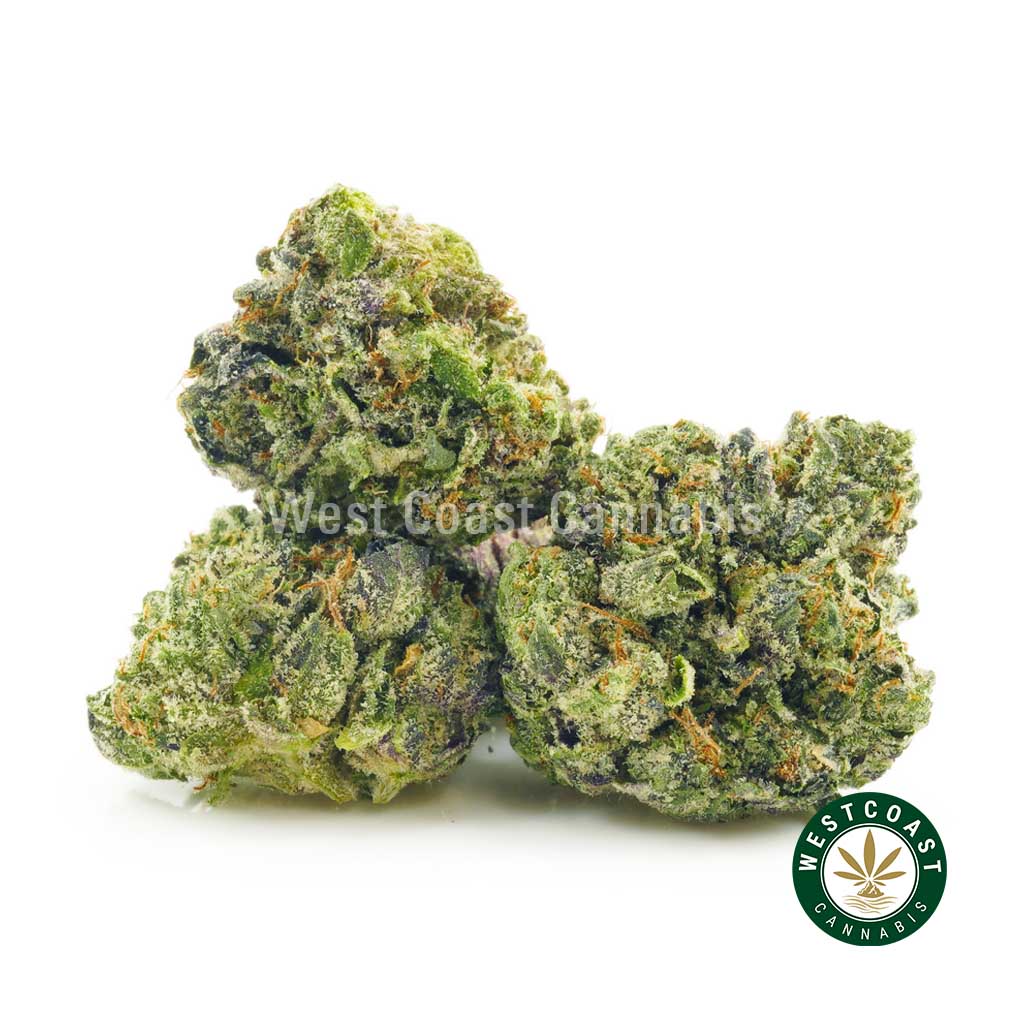 Buy Cannabis Pink Frost Popcorn at Wccannabis Online Shop