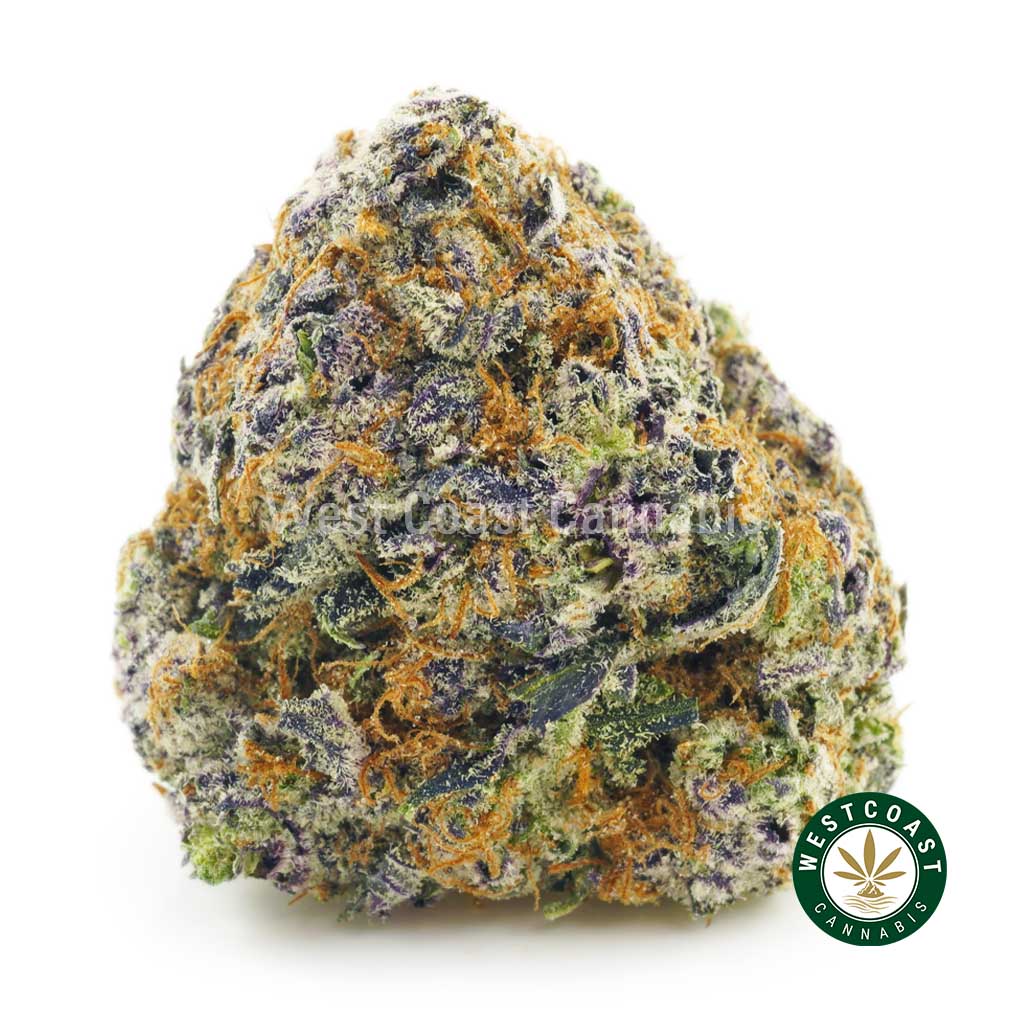 Purple Pugs Breath weed nug sold online at west coast cannabis online dispensary mail order weed shop. buy weed online.