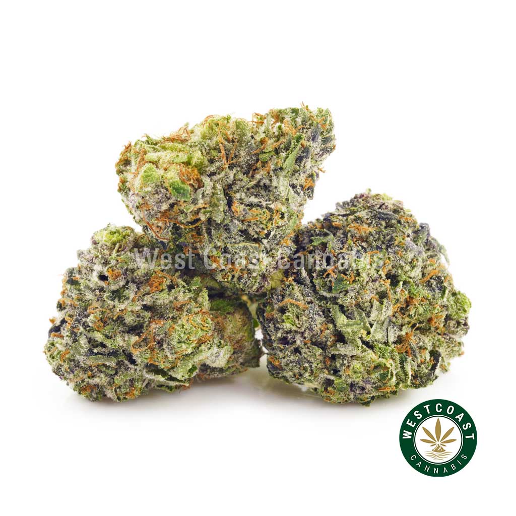 Product photo of Fruity Pebbles weed nugs for sale from west coast cannabis online dispensary to buy weed. weed online canada.