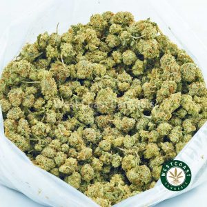 Buy Cannabis Blue Cheese Popcorn at Wccannabis Online Shop