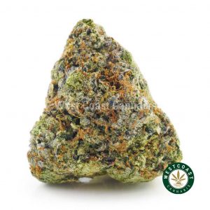 Buy Fuelato weed from west coast cannabis online weed dispensary and mail order weed shop. order weed online. mail order weed. online weed dispensary. buy weed online.