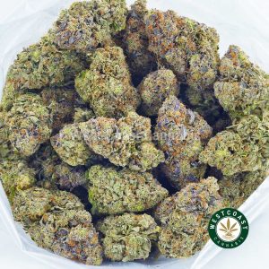 Buy weed Fuelato strain from online weed dispensary and mail order weed shop west coast cannabis. online dispensary canada. order weed online.