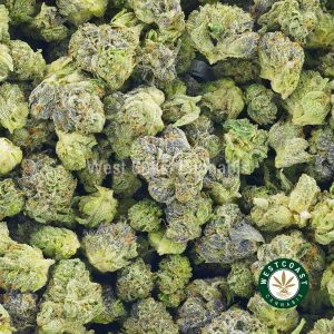 Buy Cannabis Pink Congo Popcorn at Wccannabis Online Shop