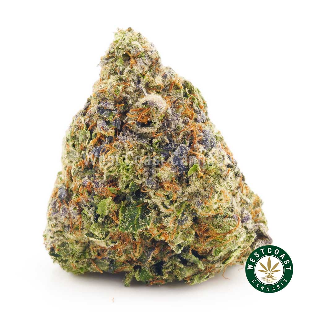 Buy Ghost Train Haze weed online from BC pot shop West Coast Cannabis Canada online dispensary. Buy weed online.