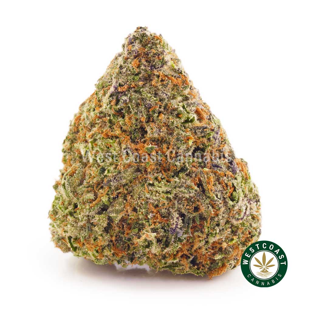 Buy Pink Runtz weed from the best online dispensary in Canada West Coast Cannabis mail order weed online.