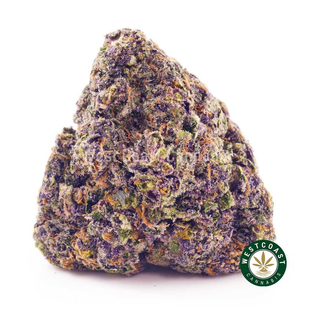 Buy weed Purple Gas Mask AAAA at wccannabis weed dispensary & online pot shop