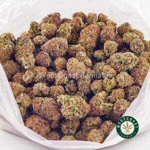 Buy weed Fruity Pebbles AAAA (Popcorn Nugs) at wccannabis weed dispensary & online pot shop