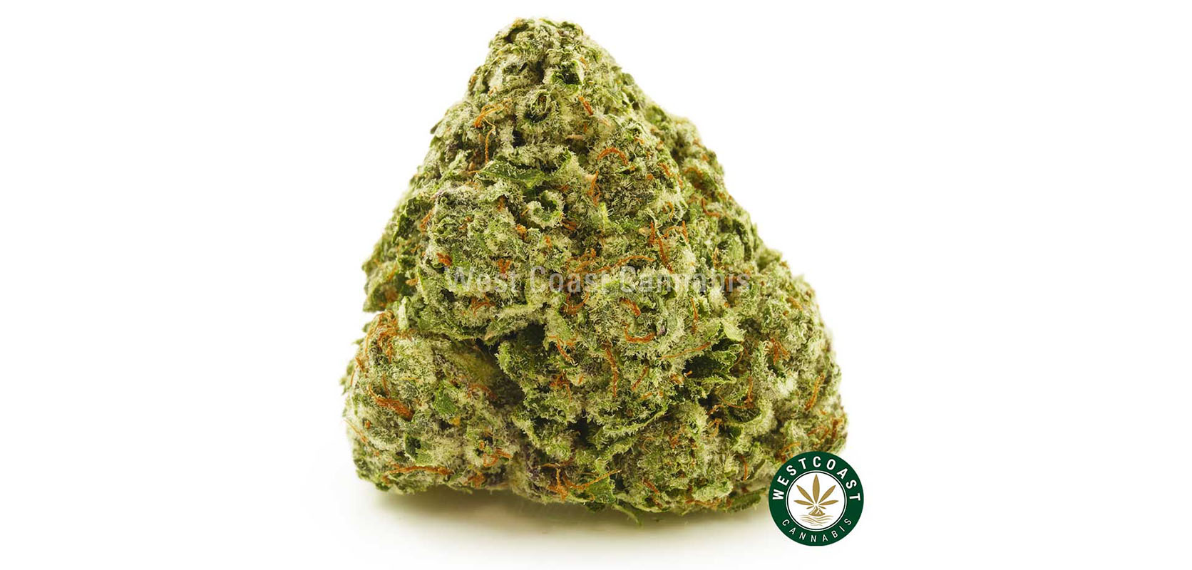 Image of wedding cake weed strain nugget to buy online in canada. mail order marijuana west coast cannabis.