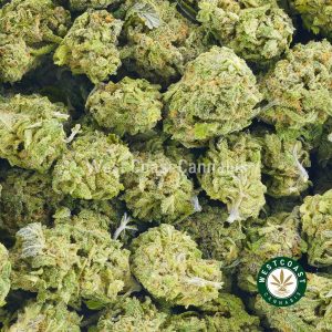 Buy Strawberry Sweetness weed online. Buy online weeds from top online dispensary for cannabis canada.
