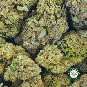 Buy Cannabis Peppermint Pink at Wccannabis Online Shop
