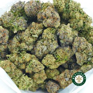 Buy Cannabis Peppermint Pink at Wccannabis Online Shop