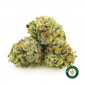photo of lemon sour diesel cannabis popcorn from online dispensary to buy weed. Order weed online from the top weed site in cannabis canada.
