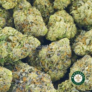 Buy Master Kush weed online cannabis canada. Order weed online and order pot online from wccannabis.co.