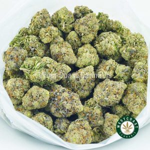 Buy weed online Master Kush from best online dispensary canada west coast cannabis canada.