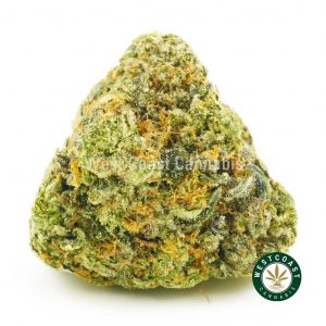 Photo of tom ford pink strain BC bud buy weed online. buy online weeds from BC. Purchase weed online.