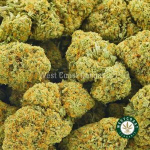 Buy Cannabis Girl Scout Cookies at Wccannabis Online Shop
