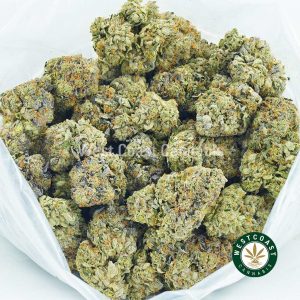 buy weed online Funky Charms strain weed for sale from west coast cannabis online dispensary canada. Purchase weed online. Cannabis canada buy weeds online.